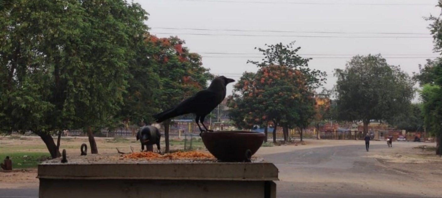 Surya Samrasta Parv