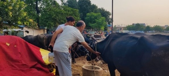Surya Samrasta Parv