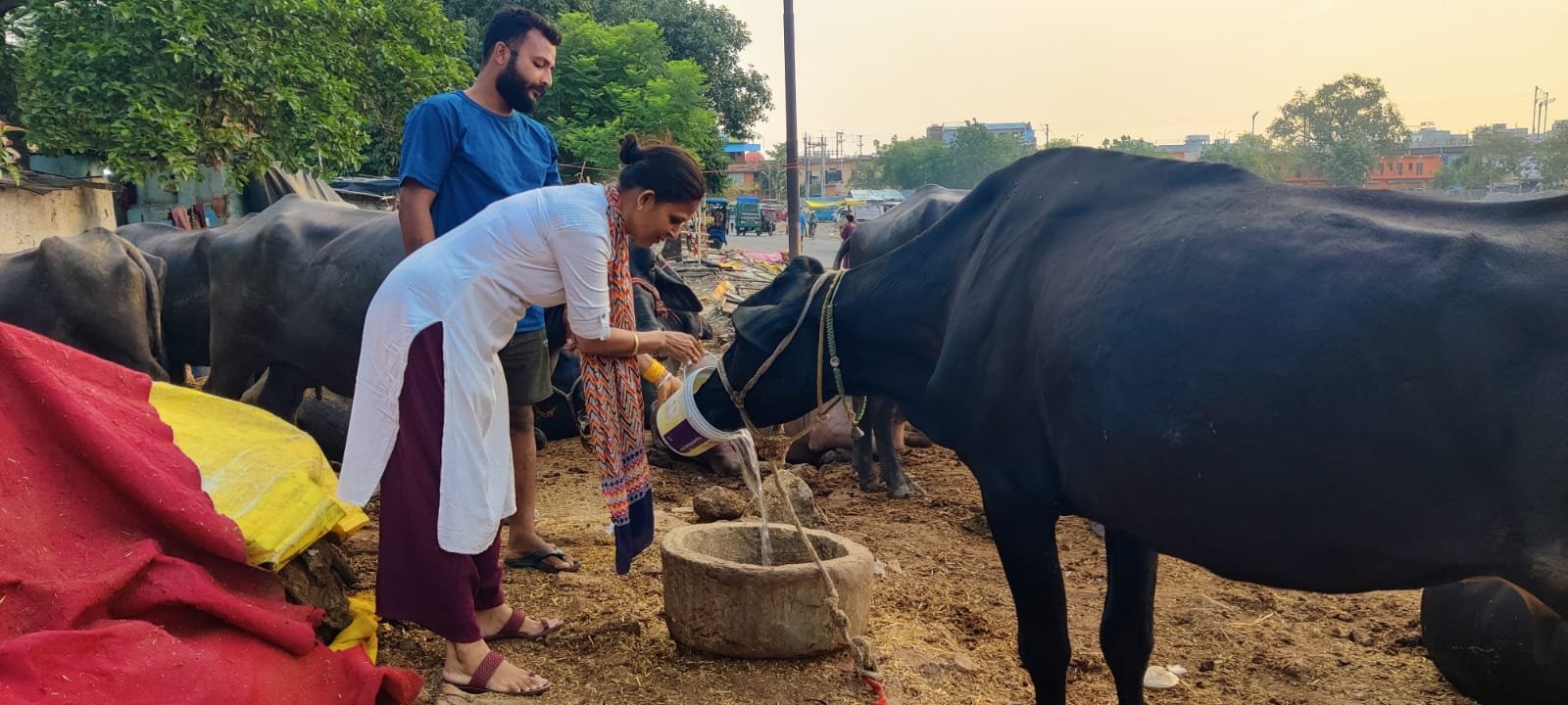 Surya Samrasta Parv