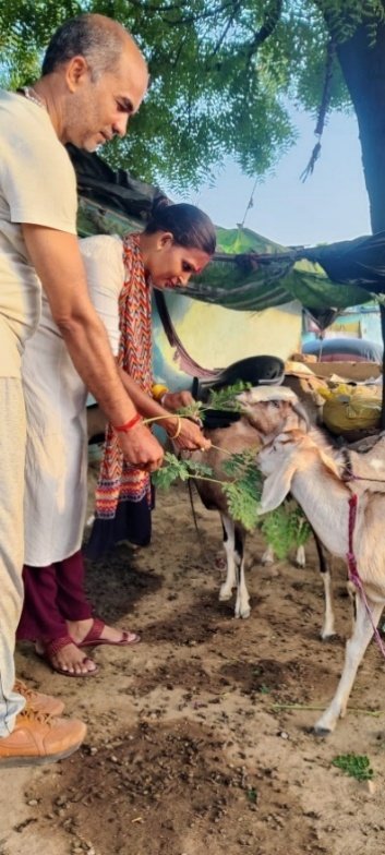 Surya Samrasta Parv