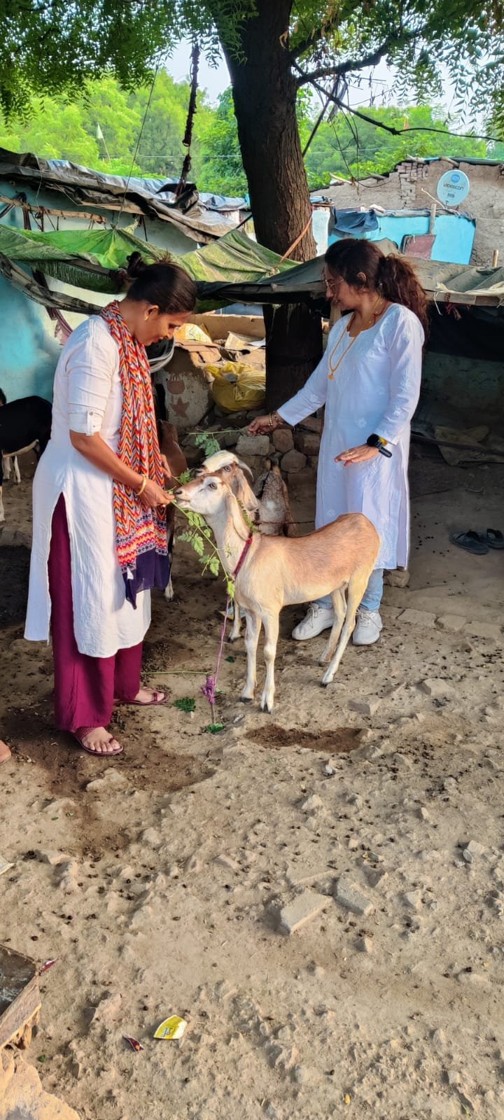 Surya Samrasta Parv