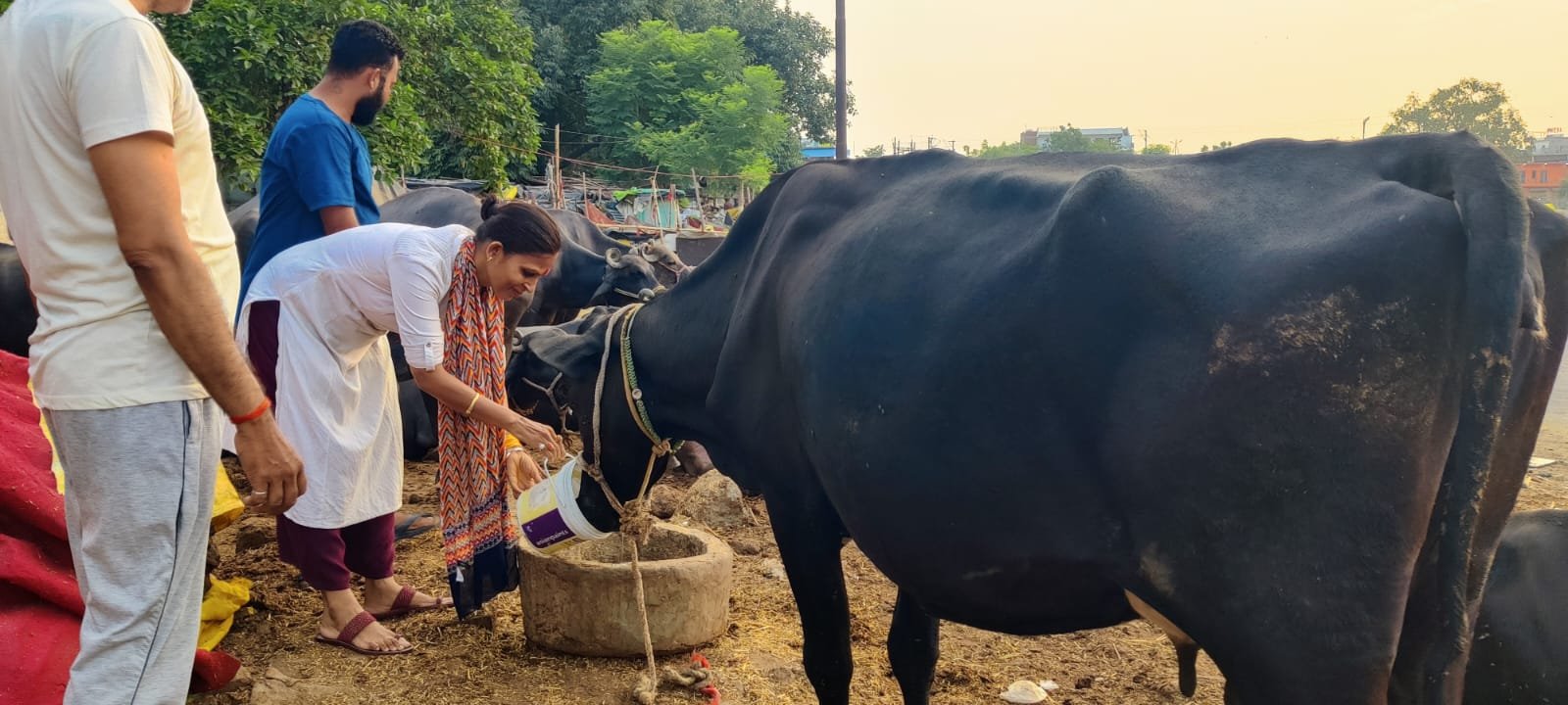 Surya Samrasta Parv